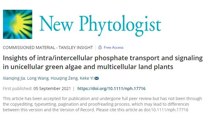 Insights of phosphate transport and signaling in green plants