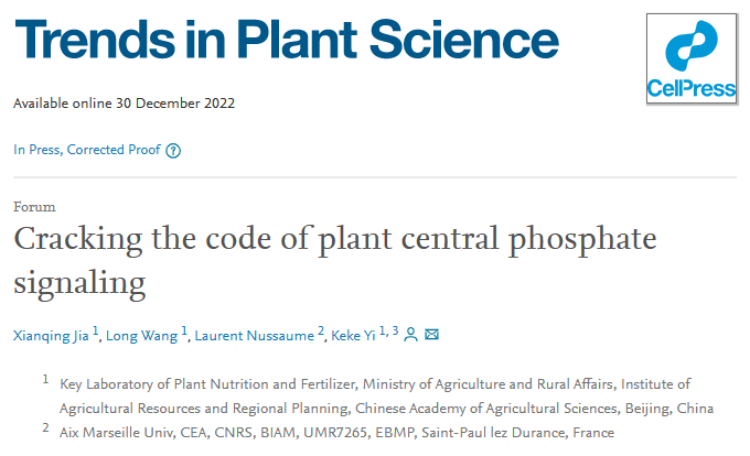 Cracking the code of plant central phosphate signaling