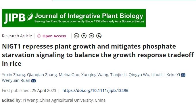 NIGT1 represses plant growth and mitigates Pi starvation signaling