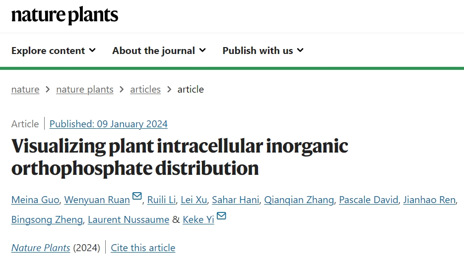 Visualizing plant intracellular inorganic orthophosphate distribution